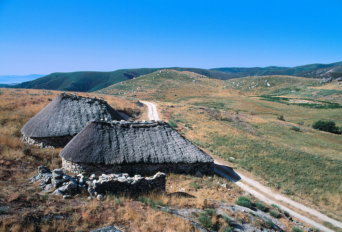 Pallozas (typical stone rural houses). Campo del Agua. Los Ancares. León province. Spain