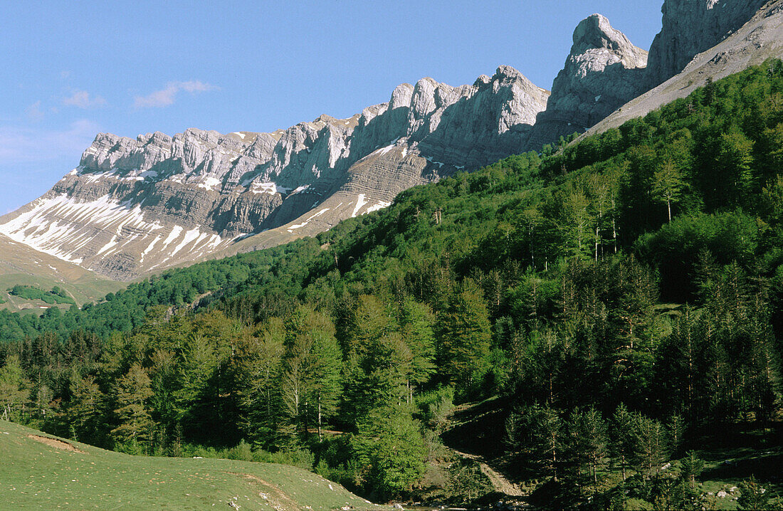 Zuriza valley. Huesca province, Pyrenees Mountains. Spain