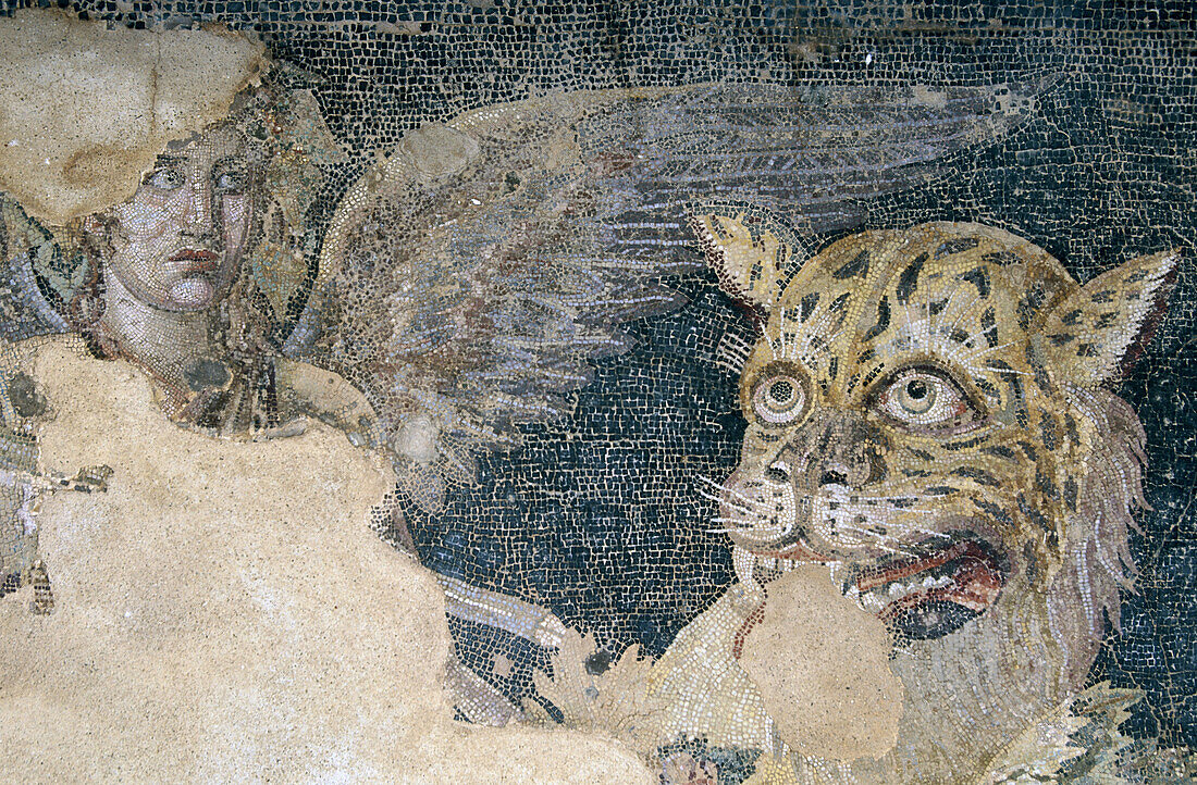 Mosaic in House of Dionisios (II c.). Delos. Cyclades Islands. Greece