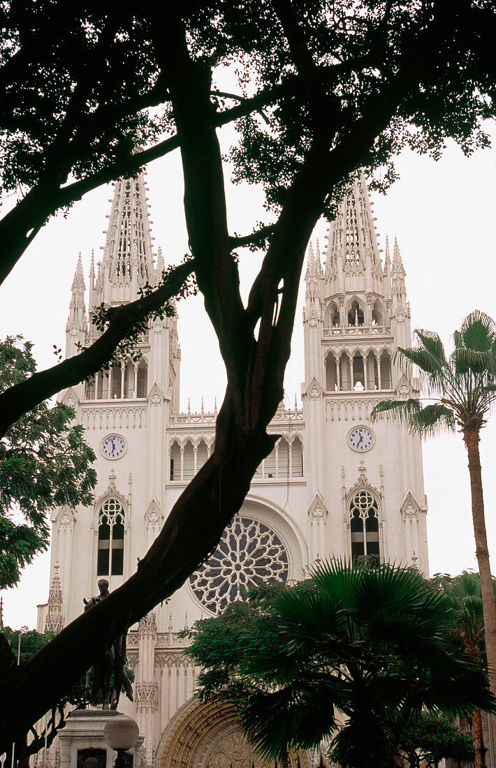 Cathedral. Guayaquil. Guayas province. Ecuador