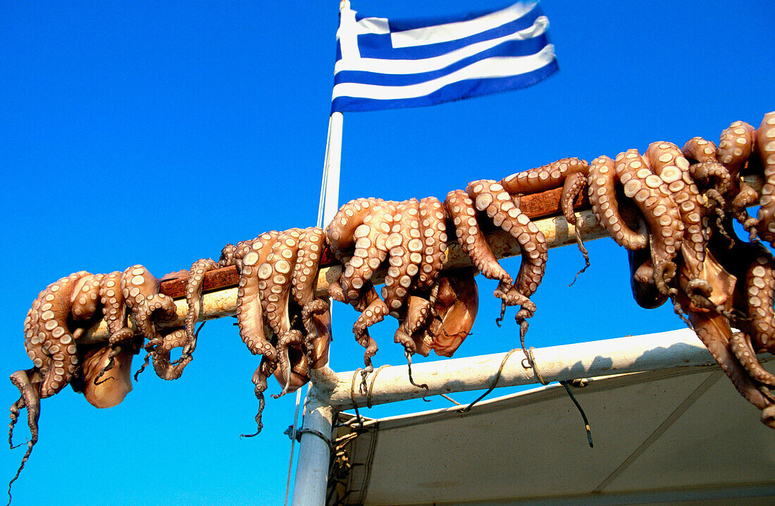 Octopus being dried in the sun. Naoussa village on Paros Island. Greece