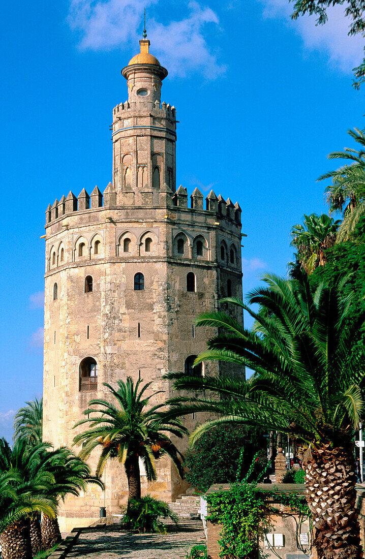 Torre del oro. Sevilla. Andalusia. Spain