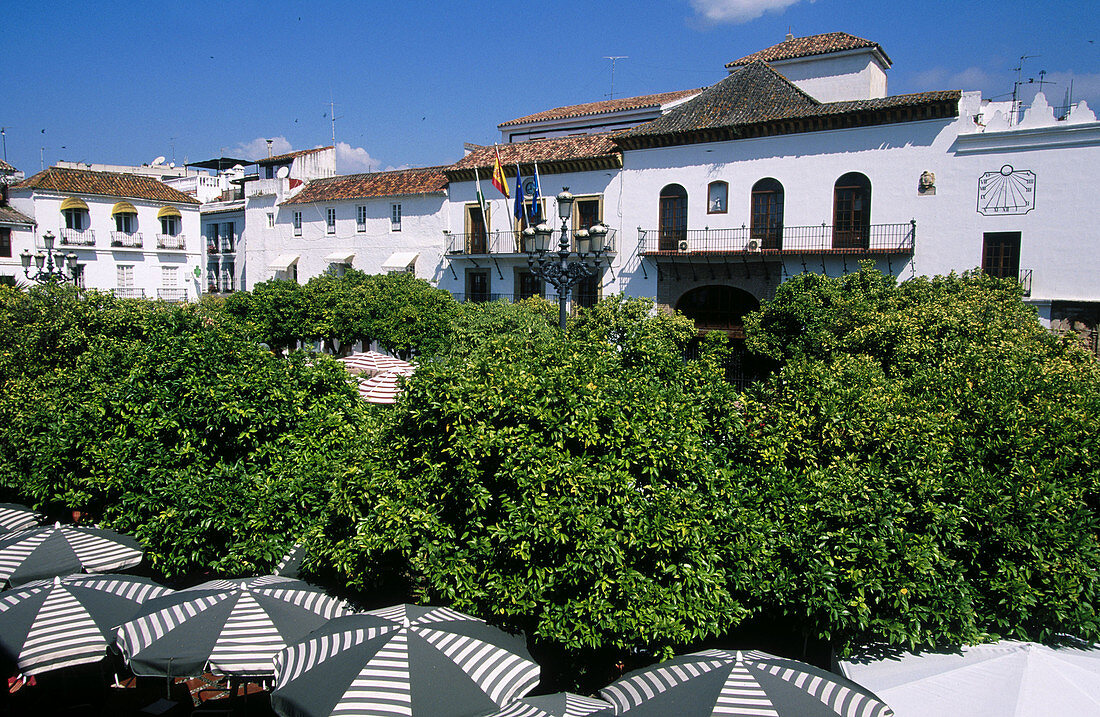 Plaza de los Naranjos and City hall in old town. Marbella. Malaga province. Costa del Sol. Andalucia. Spain