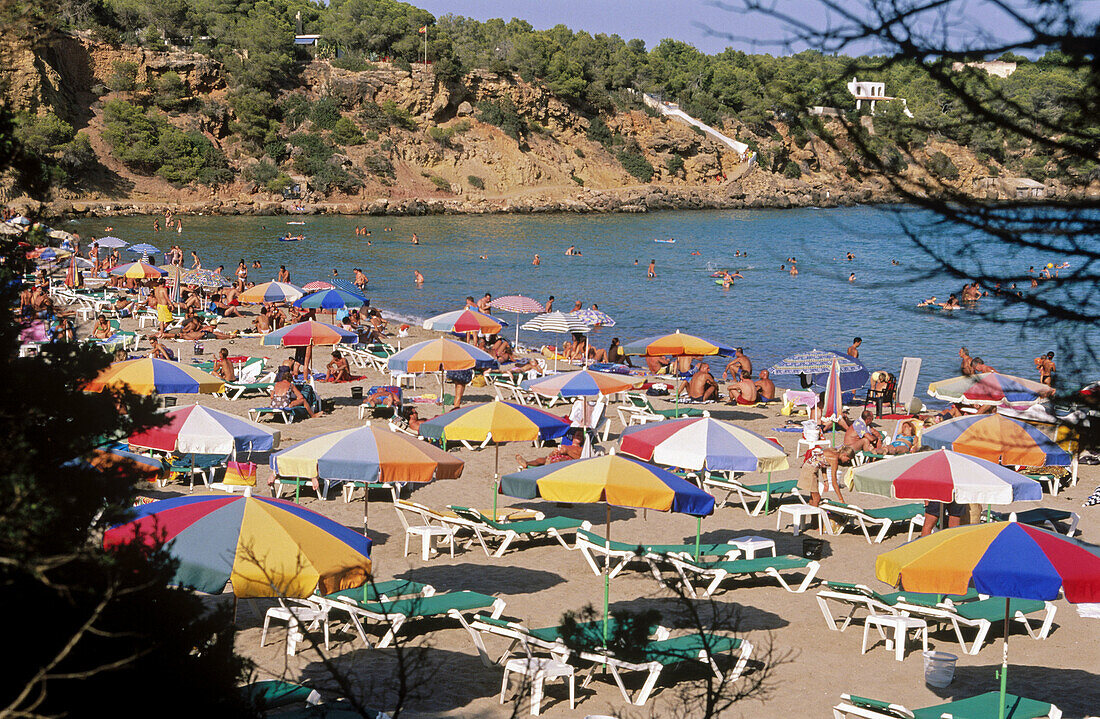 Cala Llenya. Ibiza. Balearic Islands. Spain.