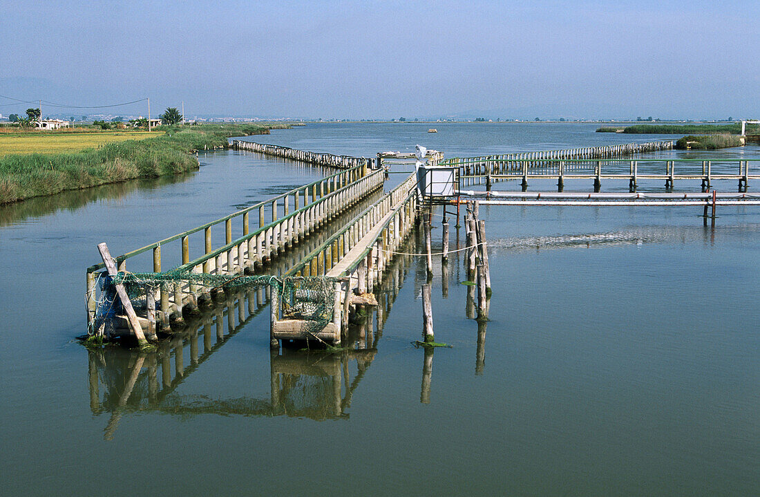 Pantena fish nets at Bassa de l Encanyissada. Delta del Ebro Natural Park. Tarragona. Spain