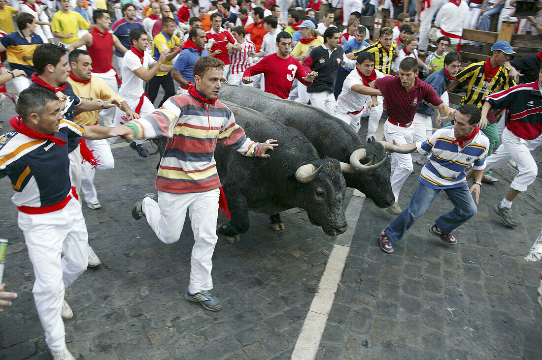 Running of the bulls. San Fermin. Pamplona. Navarre. Spain