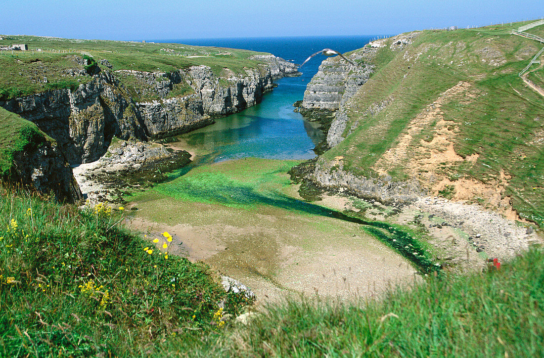 Geodha Smoo (eight hundred meter sea inlet). Durness. Highlands. Scotland