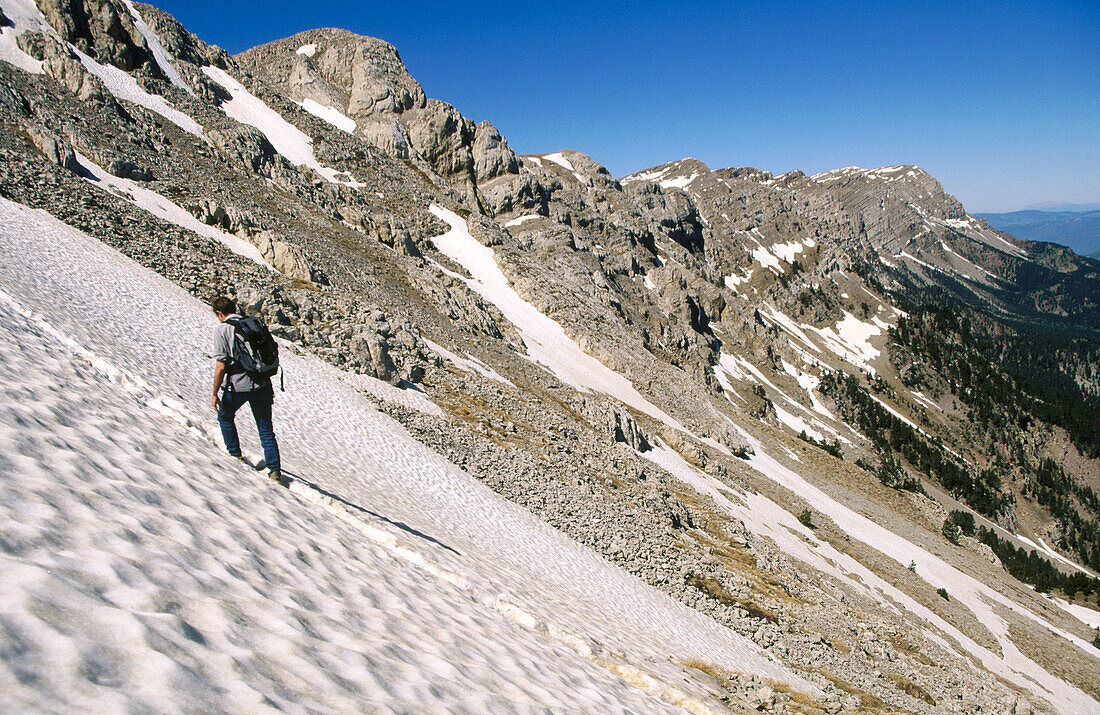 Ascention to Pas dels Gosolans (2430mts). Pic de Costa Cabirolera. Sierra del Cadí. Cadí-Moixeró Natural Park. La Cerdanya. Girona Province. Catalonia. Spain