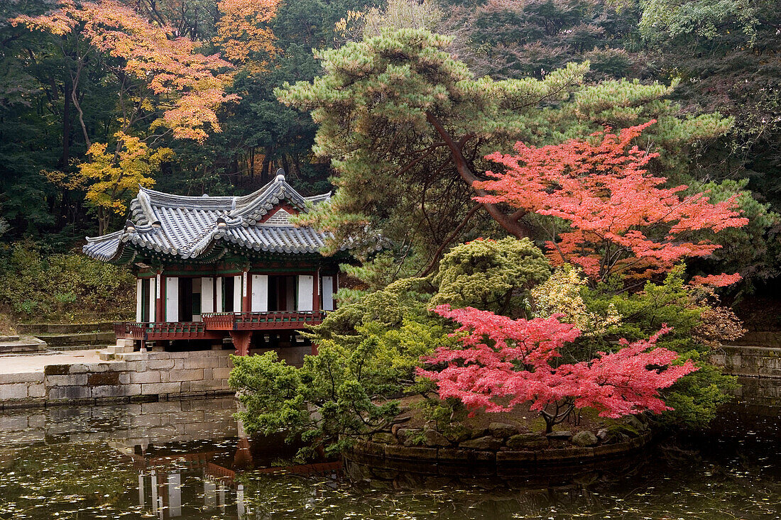Gardens of Chongmyo royal shrine, Seoul. South Korea
