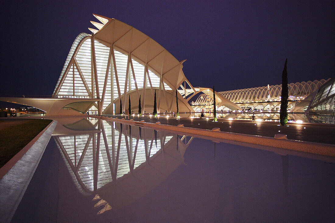 City of Arts and Sciences built by Calatrava, Valencia. Comunidad Valenciana, Spain