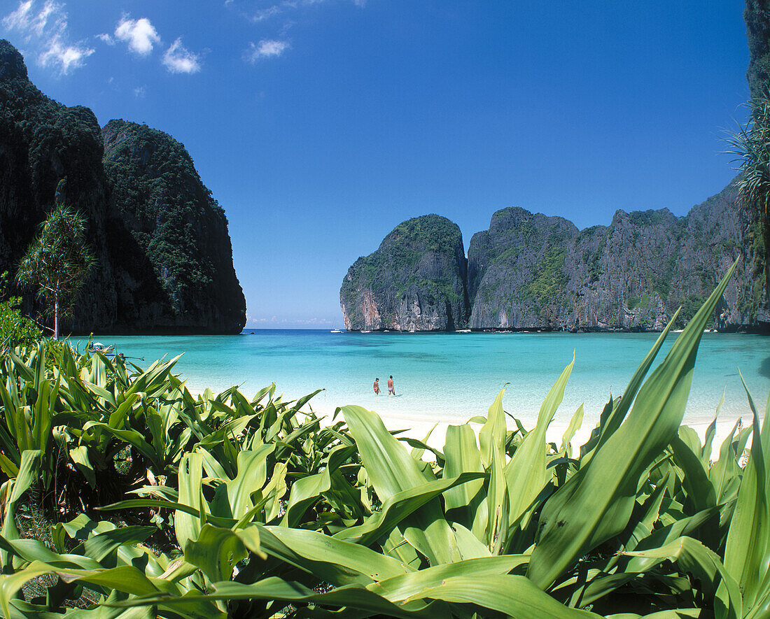 Koh phi phi Island, Krabi region. Thailand