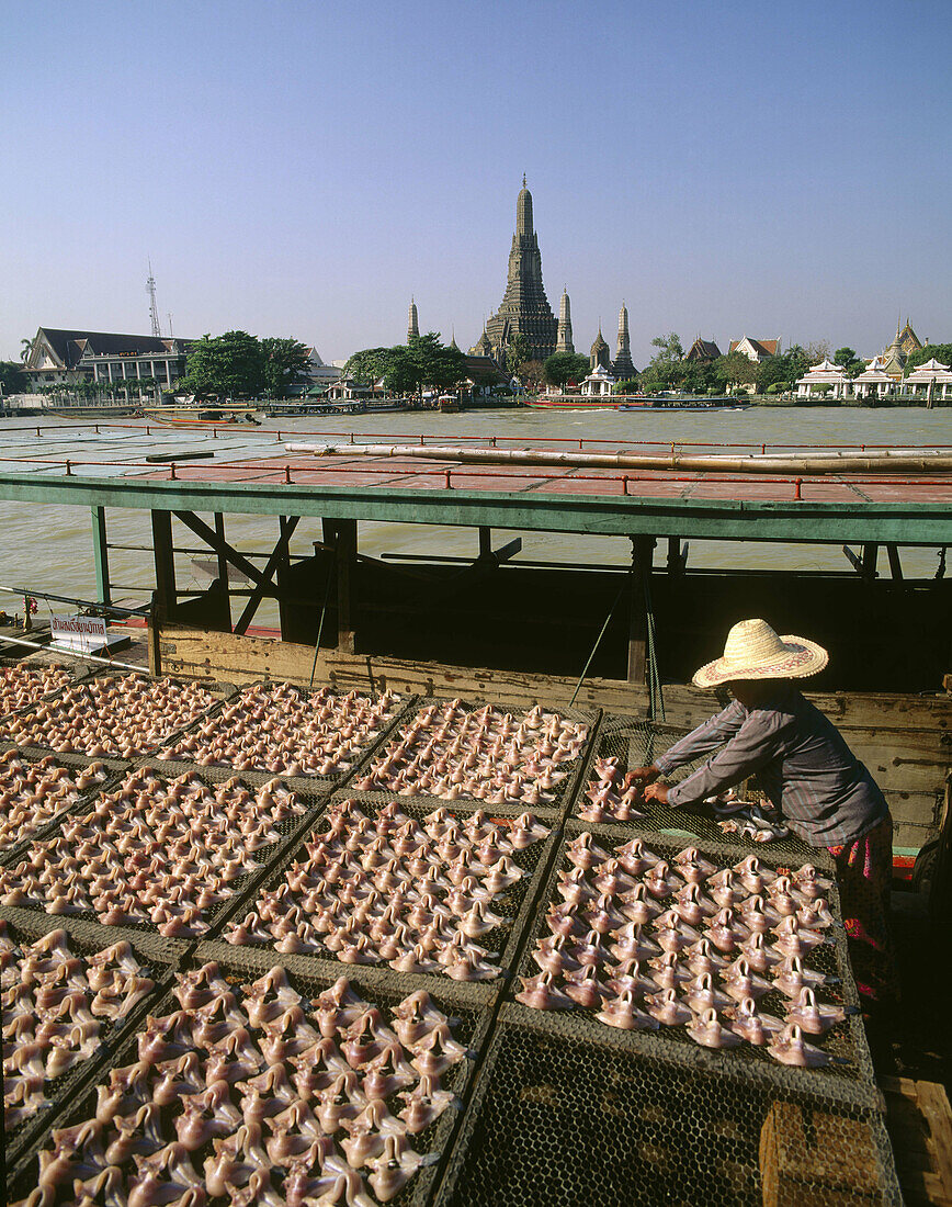 Fresh fish drying. Wat Arum. Bangkok. Thailand.