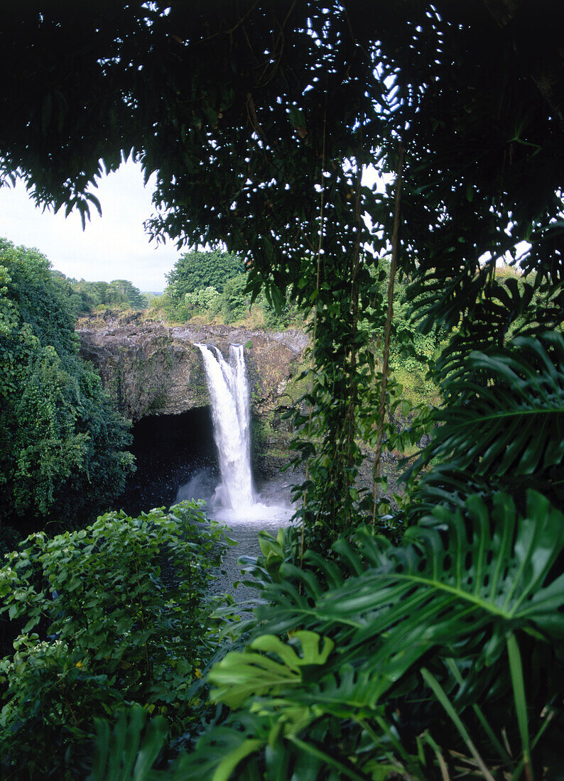 Akaka Falls State Park. Hamakua coast, Hawaii. USA