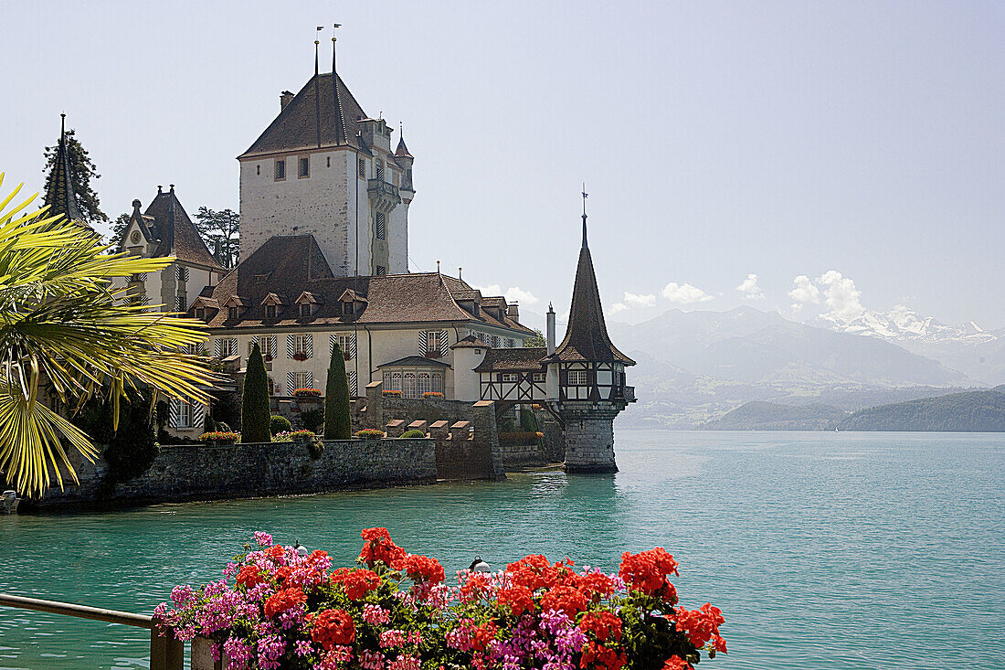 Oberhofen Castle,Thunersee Lake. Switzerland.