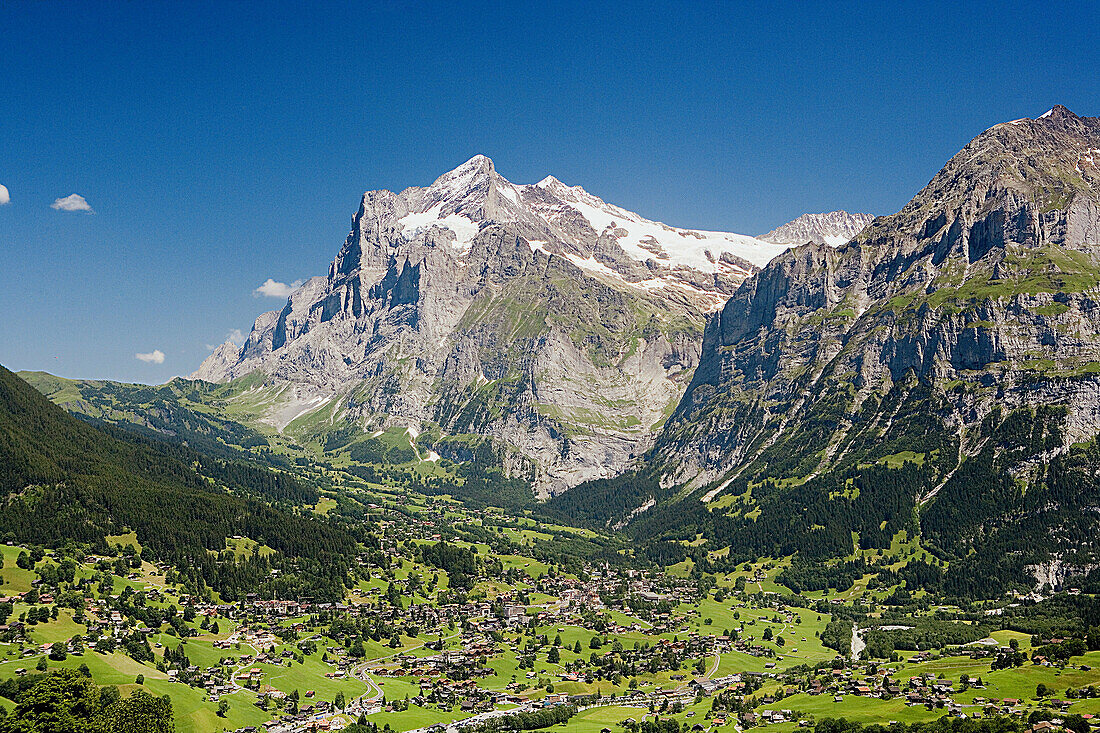 Grindelwald District. Switzerland.