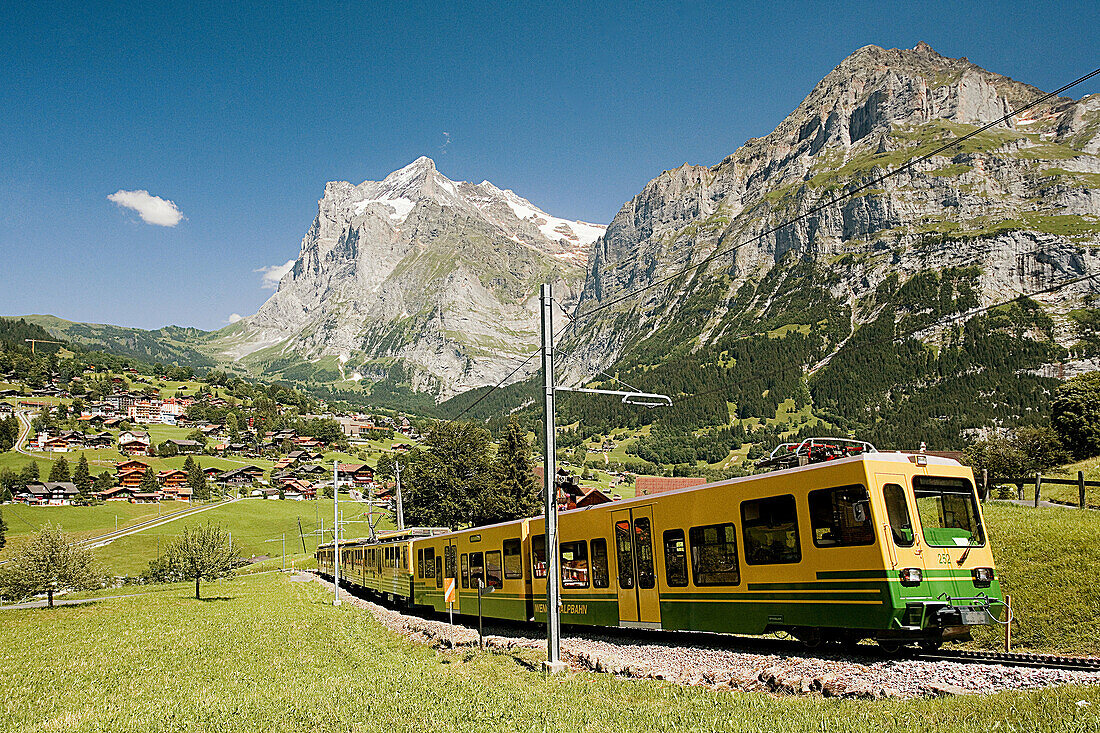 Grindelwald District. Switzerland.