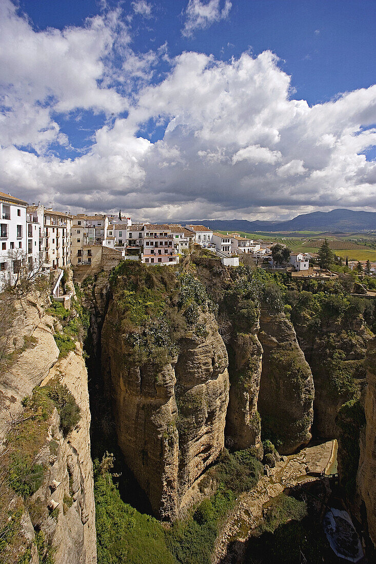 Tajo gorge, Ronda. Malaga province, Andalucia, Spain (April 2007)