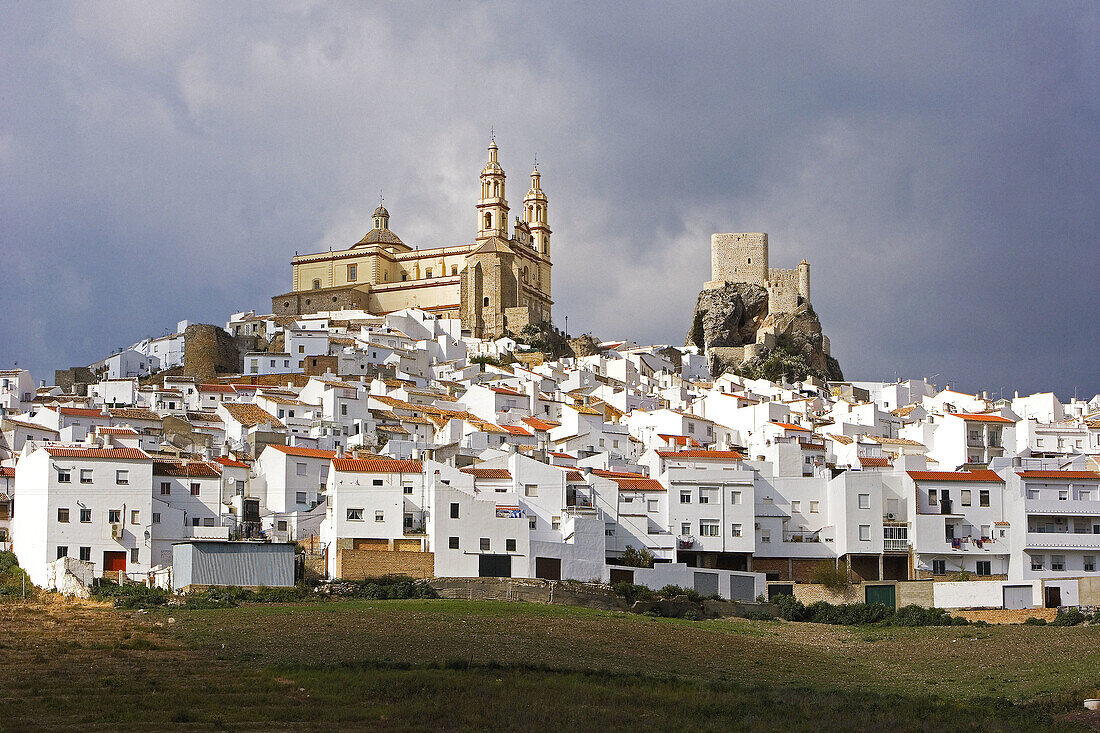 Olvera. Cadiz province, Andalucia, Spain (April 2007)