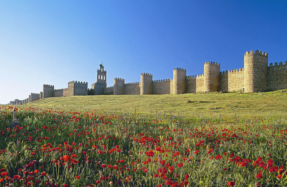 City walls, Avila. Castilla-Leon, Spain (April 2007)