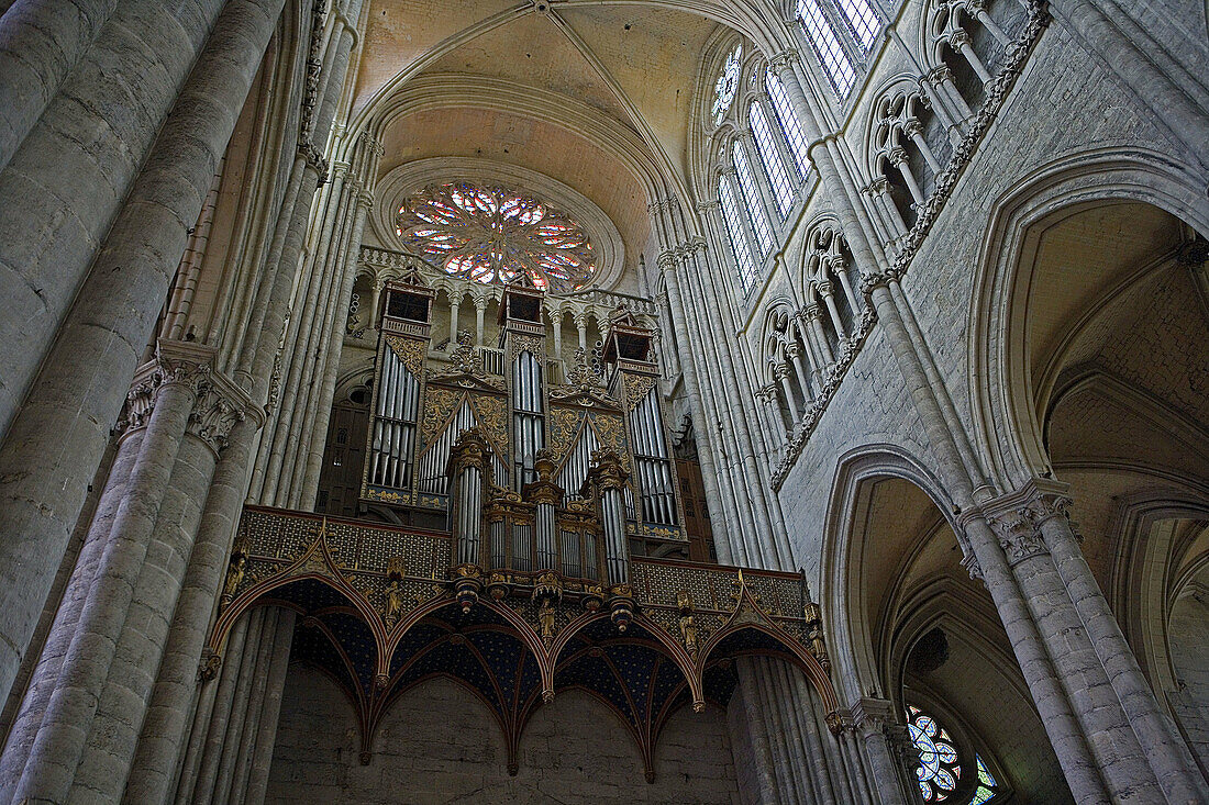 The Cathedral (W.H.). Amiens. France. 2007.