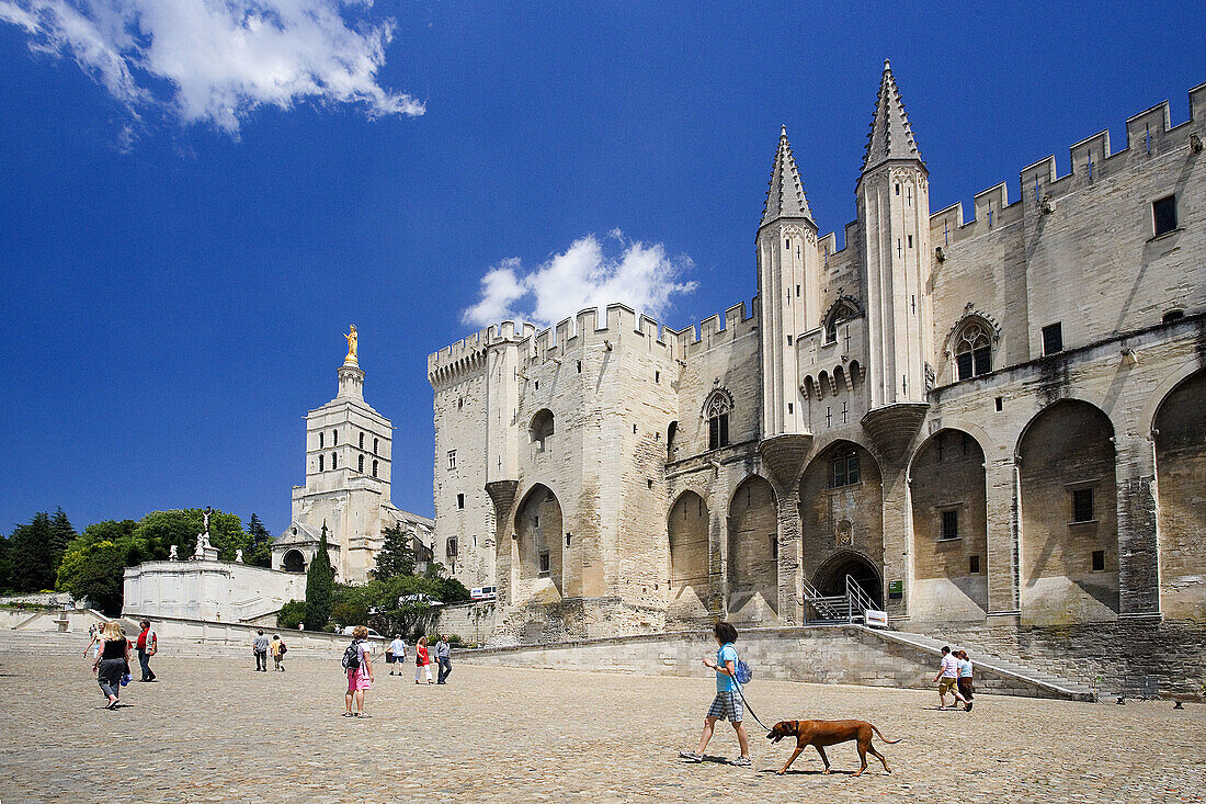 Popes Palace (W.H.). Avignon. France. June 2007