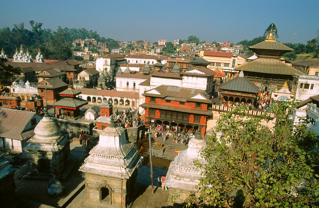 Pashupatinath Temple. Kathmandu. Nepal