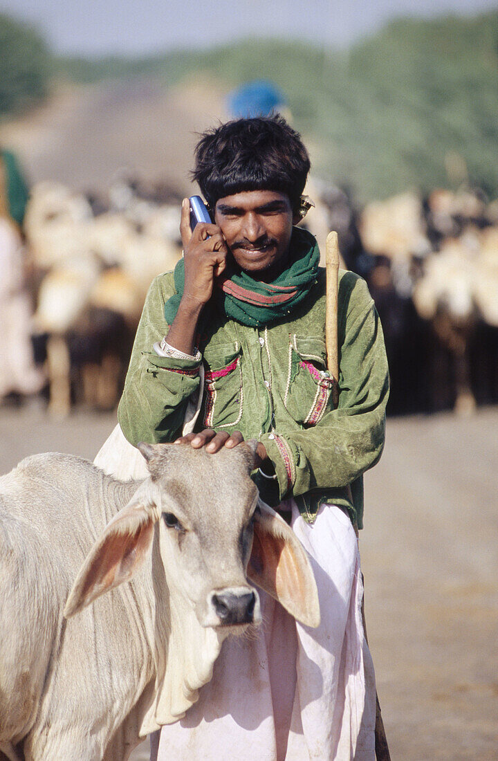 Single rural Indian man in green shirt with white cow and mobile phone.