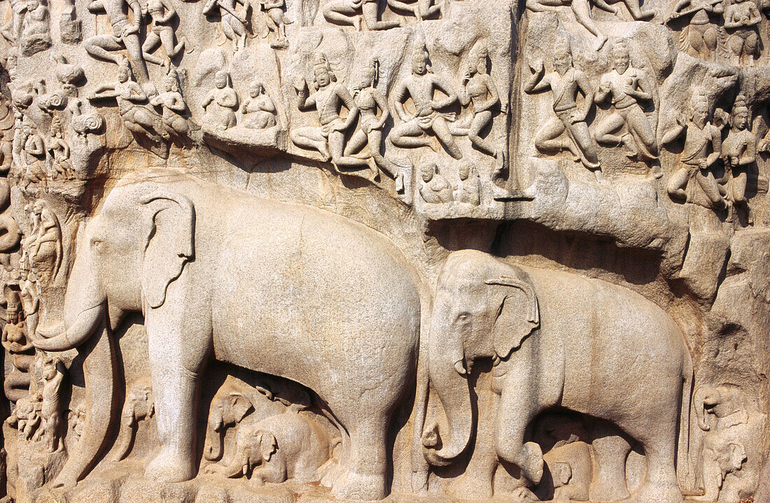 Arjunas Penance, bas-relief at Mamallapuram. Tamilnadu. India