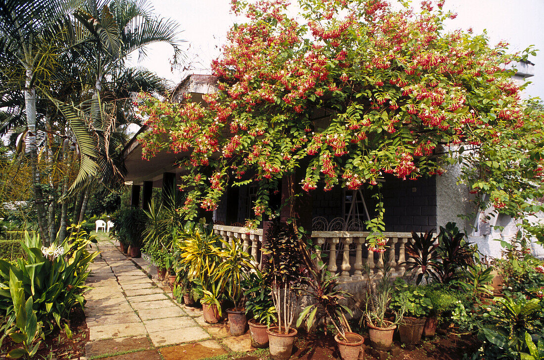 Farm house. Panvel. Maharashtra. India.