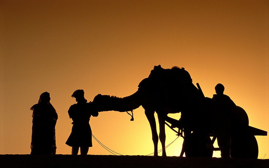 Sunset at desert. Rajasthan. India.
