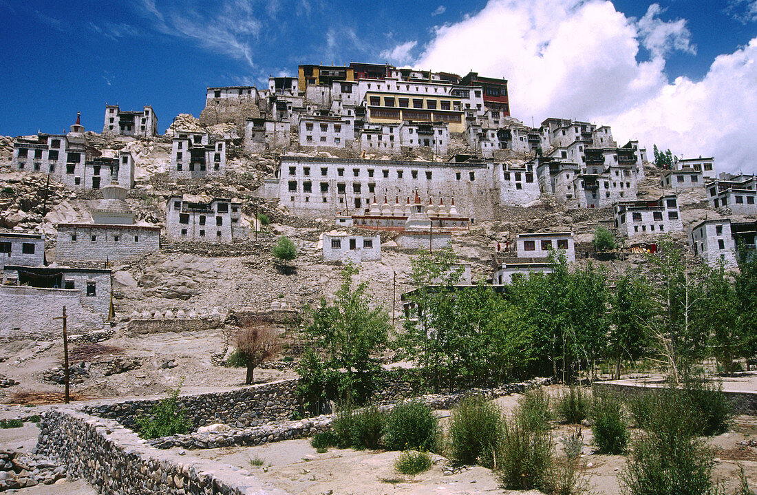 Thiksey monastery. Ladakh. Jammu and Kashmir. India.