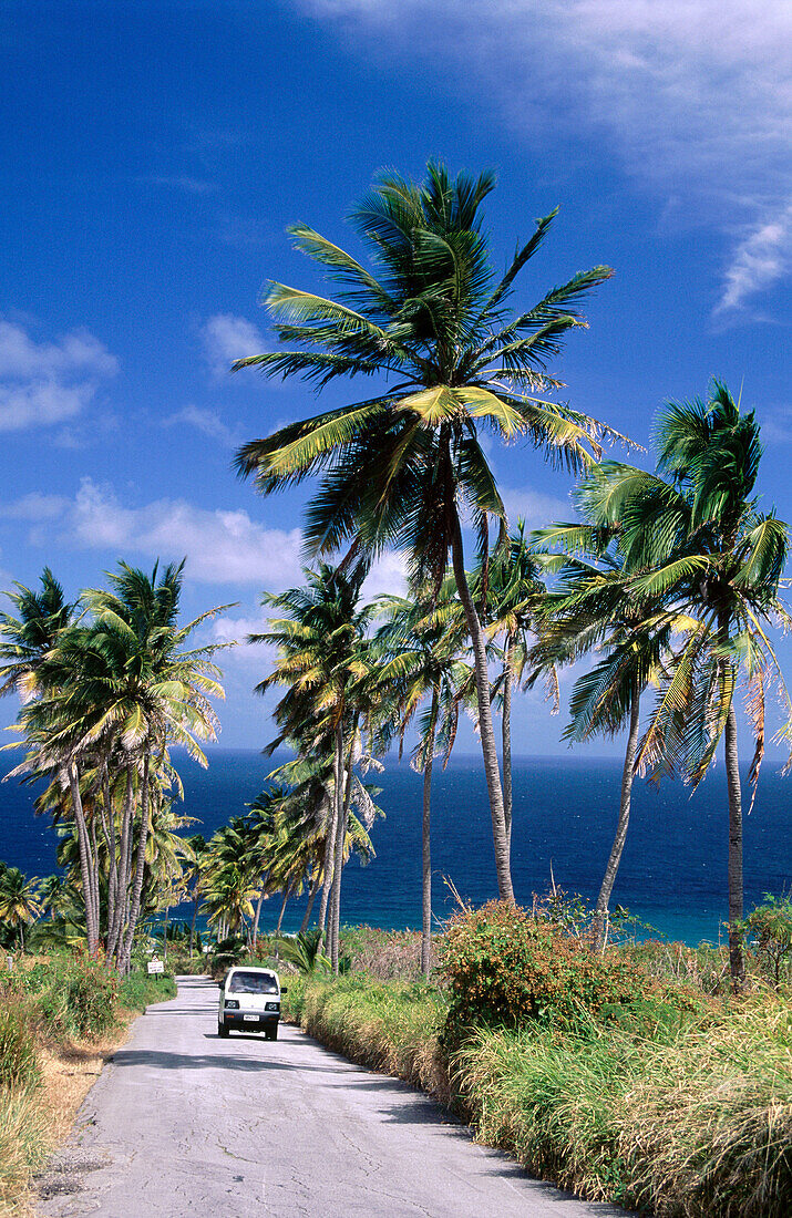 Bathsheba. Barbados. West Indies