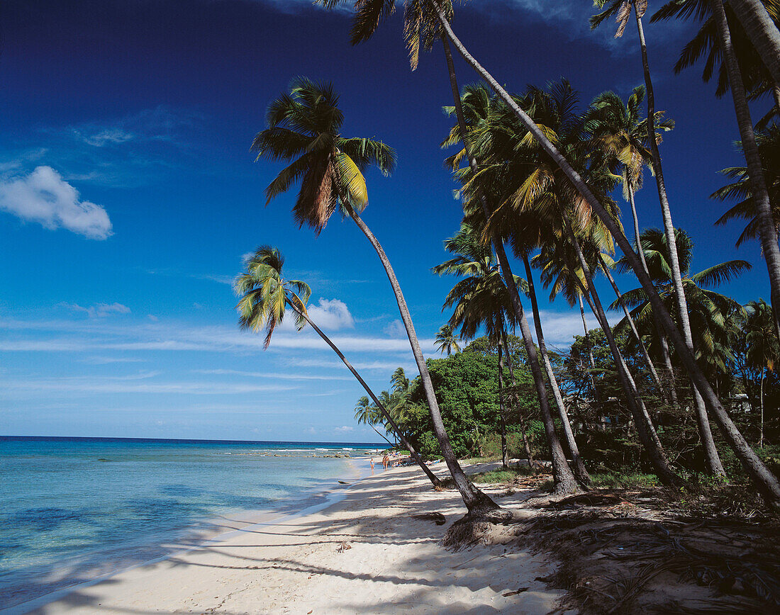 King s Beach. Barbados. West Indies