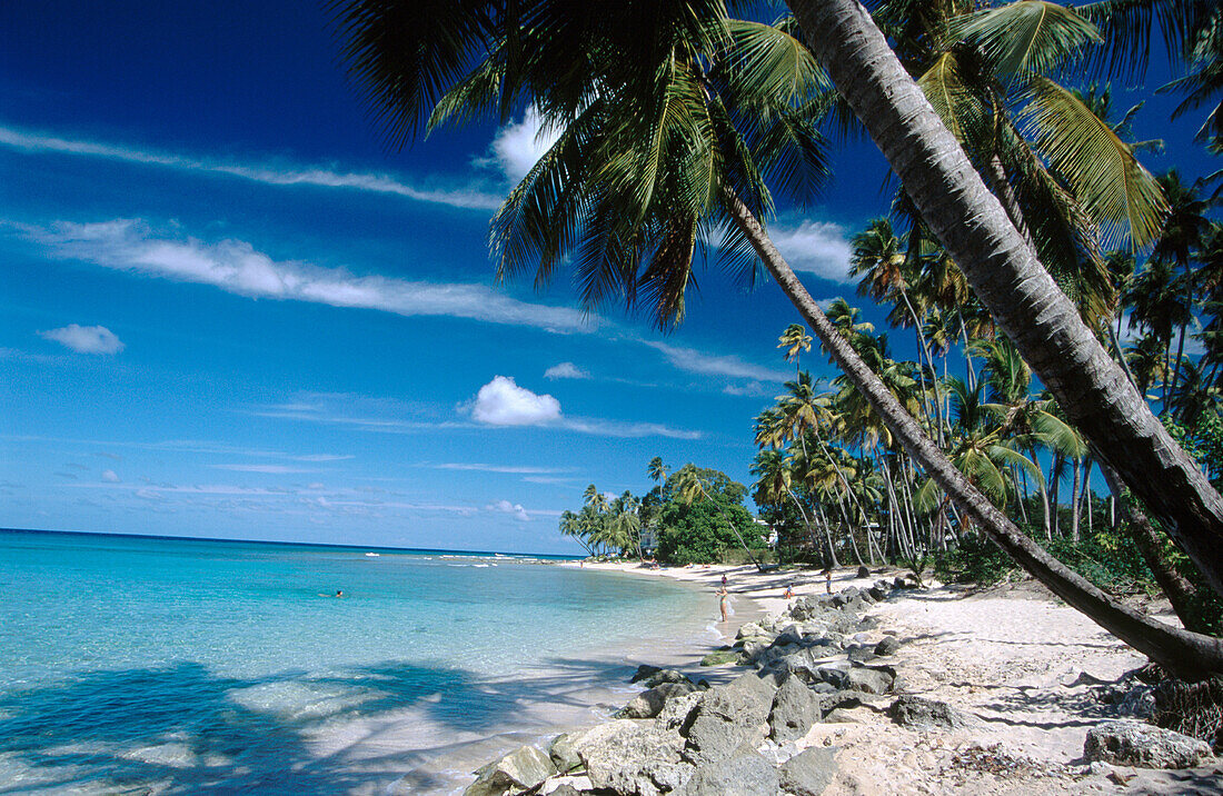 King s Beach. West Coast. Barbados. West Indies