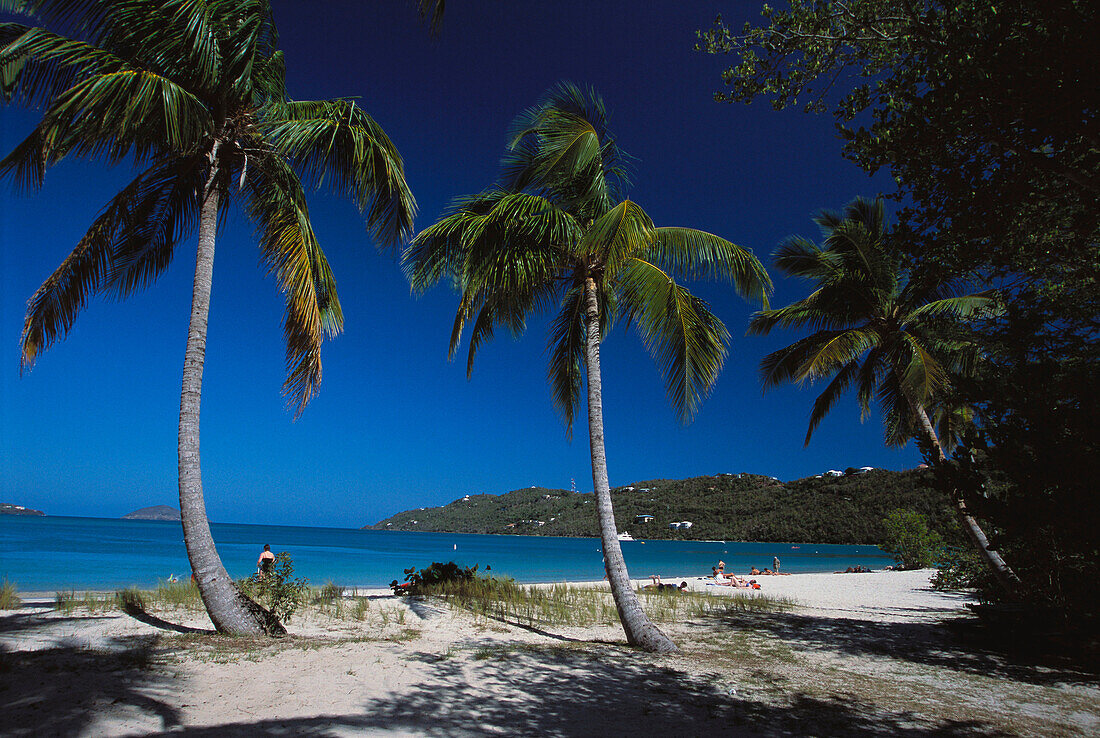 Magens Bay. Saint Thomas. U.S. Virgin Islands