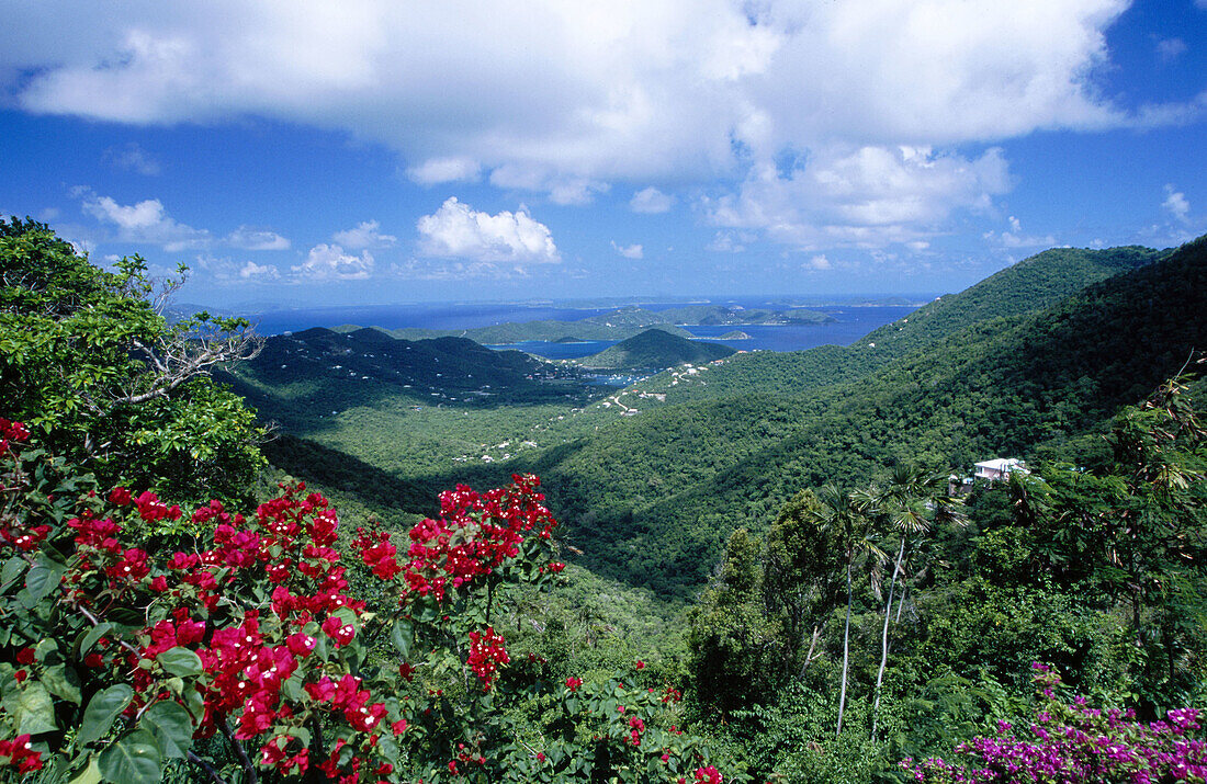 Coral Bay. St. John. US Virgin Islands. West Indies. Caribbean