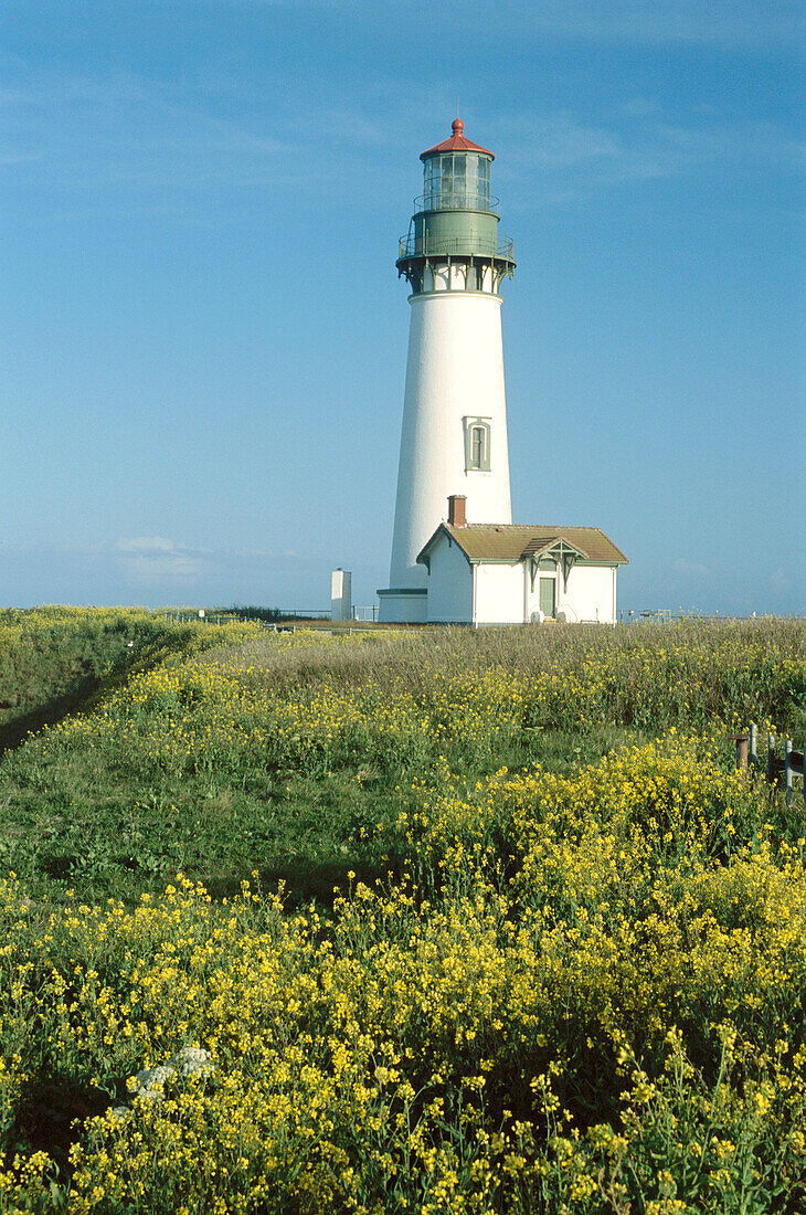 Yaquina Head lighthouse. Oregon, USA