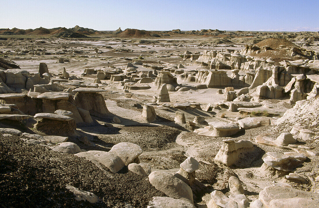 Geological formations. Bisti Badlands Wilderness Area. New Mexico. USA