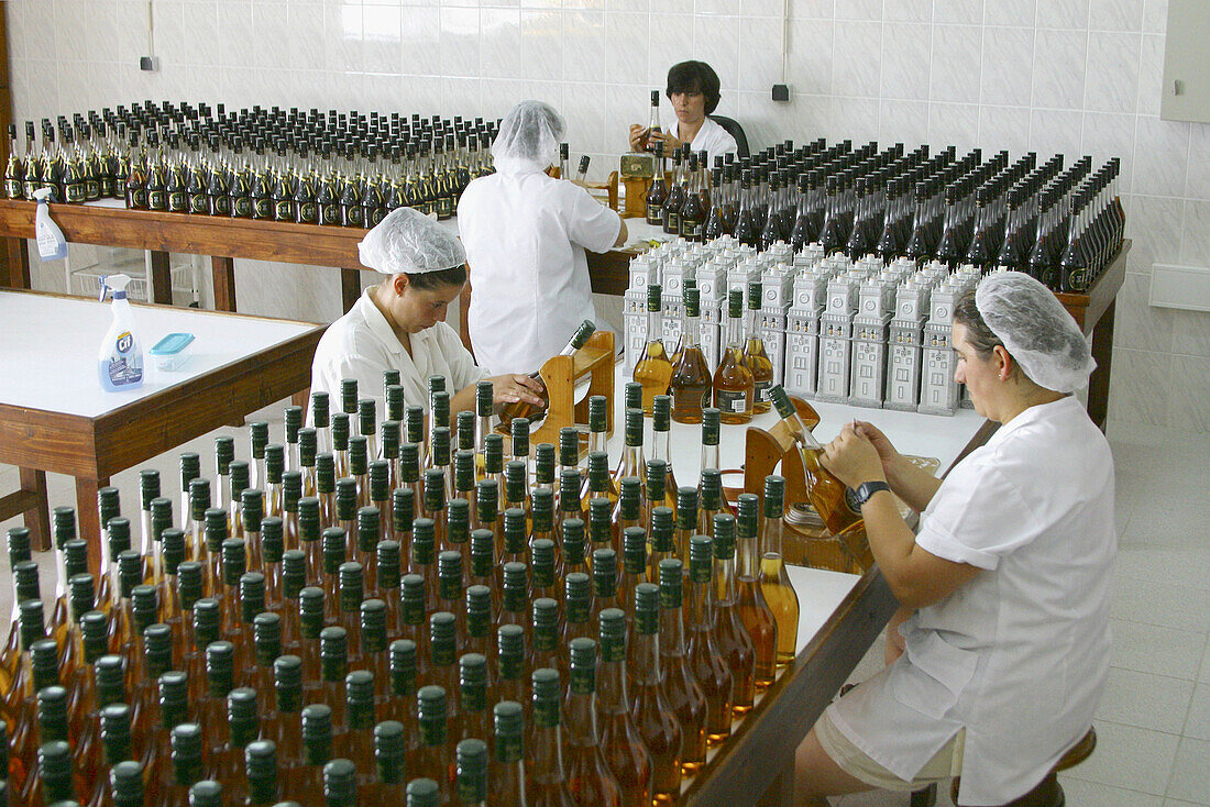Liqueur factory in Ribeira Grande. São Miguel Island, Azores. Portugal