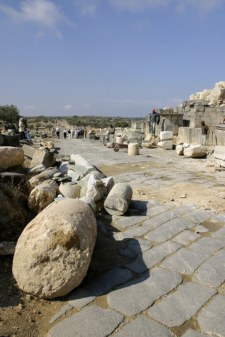 Street in roman city Um Qeis. Gadara belonged to Dekapolis, a union of ten citys founded under Alexander the great. Jordan