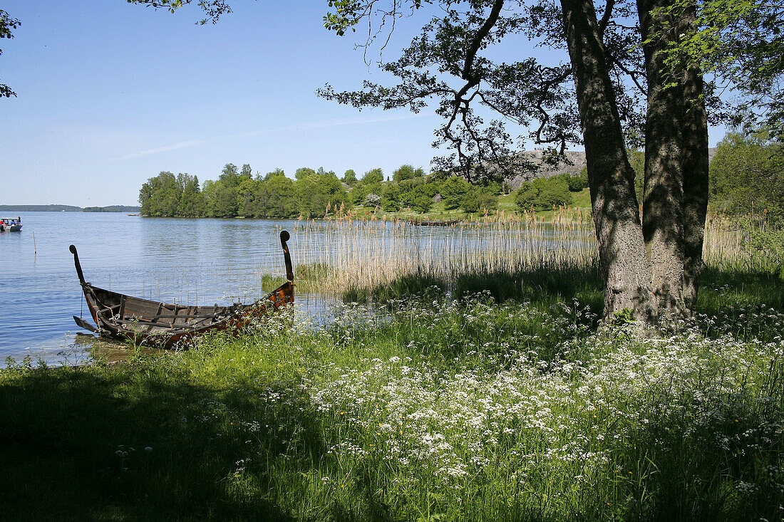 Reconstruction of a Viking ship on the shore of Birka. UNESCO world heritage site on island of Björkö in lake Mälaren. Sweden.