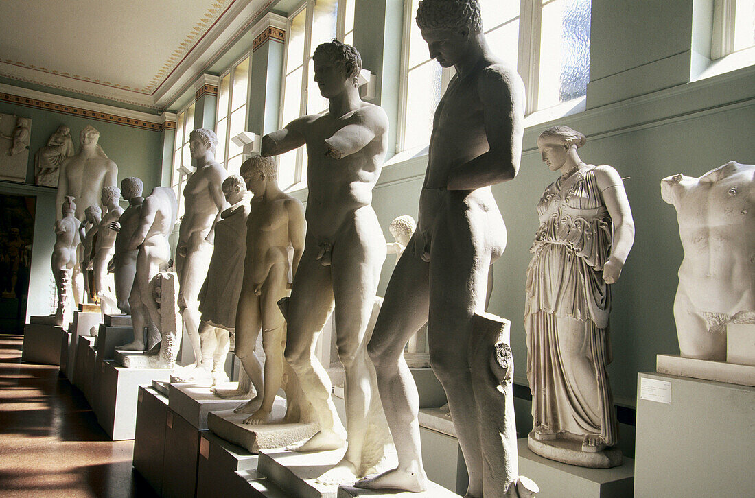Collection of plaster casts (University Collection of Classical Antiquities). Academic Art Museum. Bonn. Germany