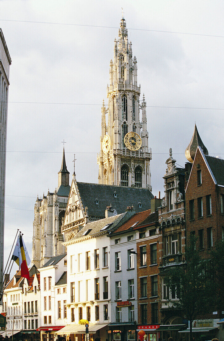 Cathedral of Our Lady. Antwerp. Belgium