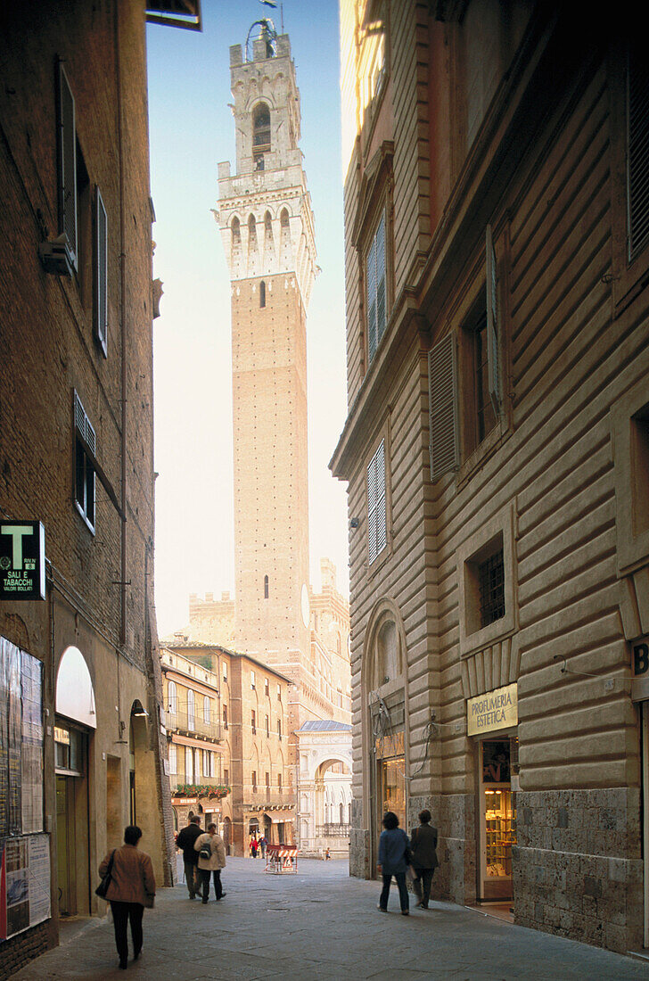 Mangia Tower. Siena. Italy
