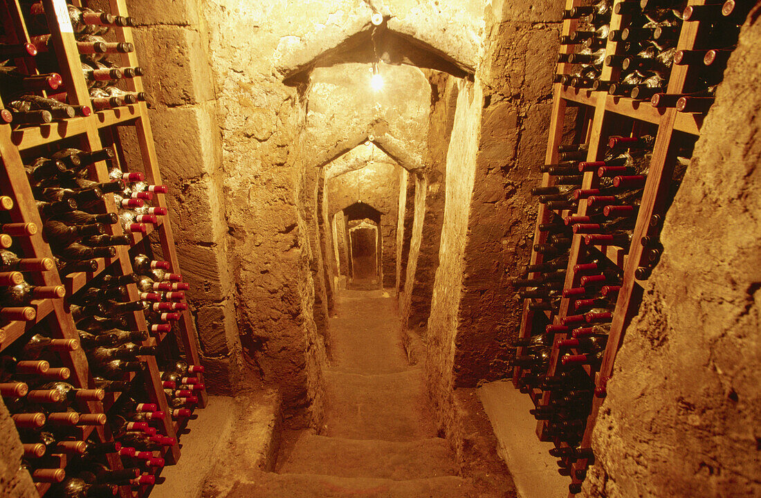 Wine cellar of restaurant. Campania. Italy
