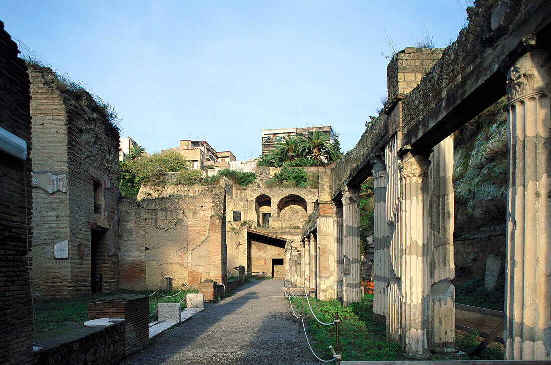 The palaestra (gymnasium and wrestling place), ruins of the old Roman city. Pompeii. Italy