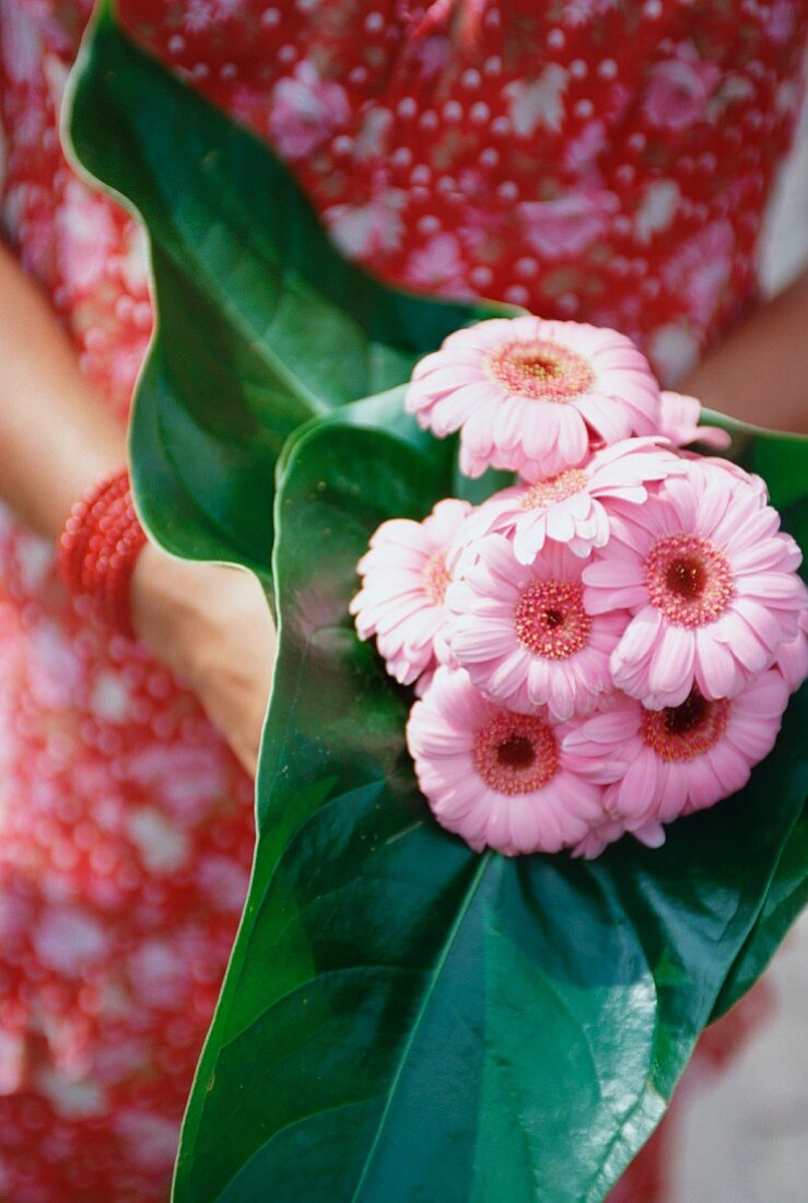 Hands holding a small bunch of gerberas