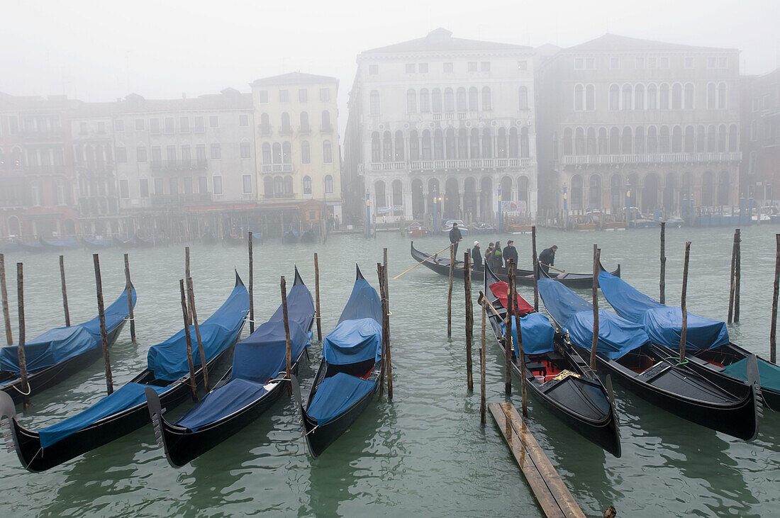 Canal Grande at Rialto bridge. Venice. Veneto. Italy.
