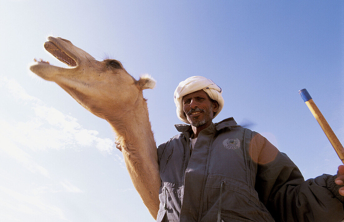 Camel market. Bir Shalatein. Red Sea, Al-Bahr-al-Ahmar. Egypt.