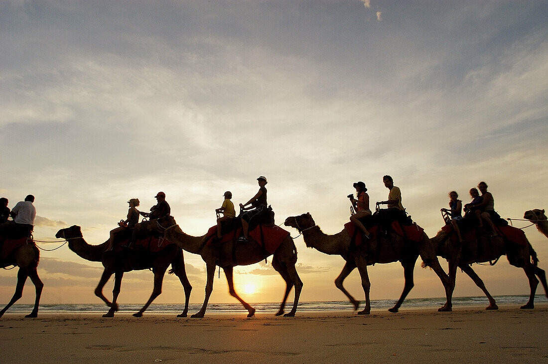 Sunset camel ride along the beach. Broome. Western Australia. Australia.